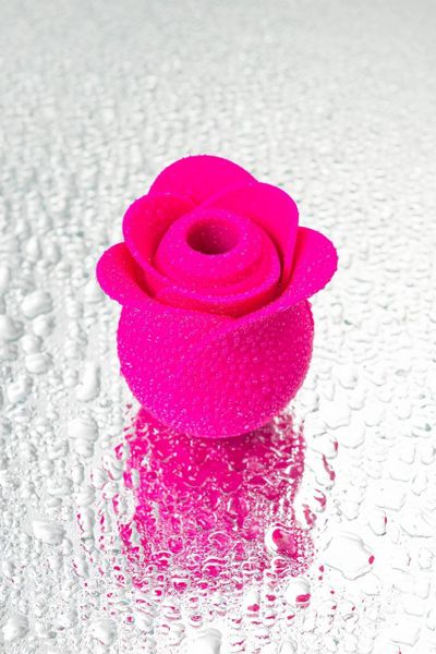 Вакуум-волновой стимулятор клитора Satisfyer Pro 2 Modern Blossom, бордовый (Германия)