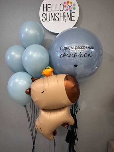 Сет Капибара №15