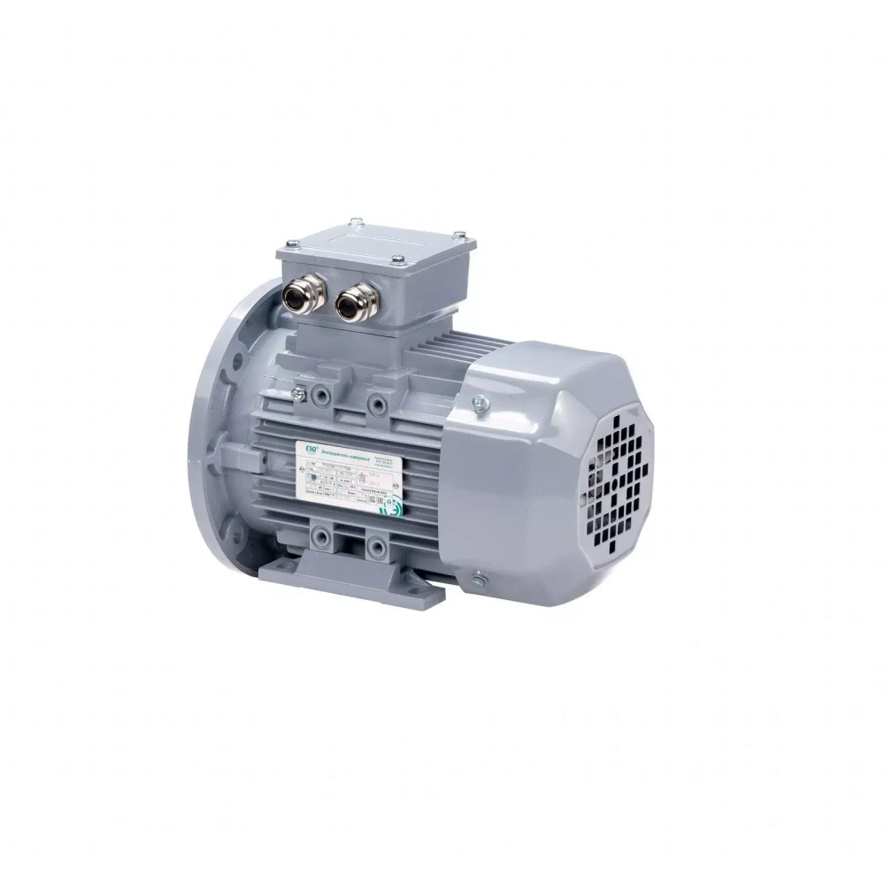 Электродвигатель ESQ PR 355 MA6-SDN-Б1-S12-IE3 160/1000 IMB35