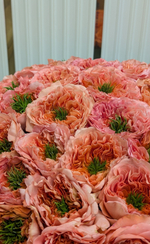 Розы Mandarin Expression в шляпной коробке размер XL