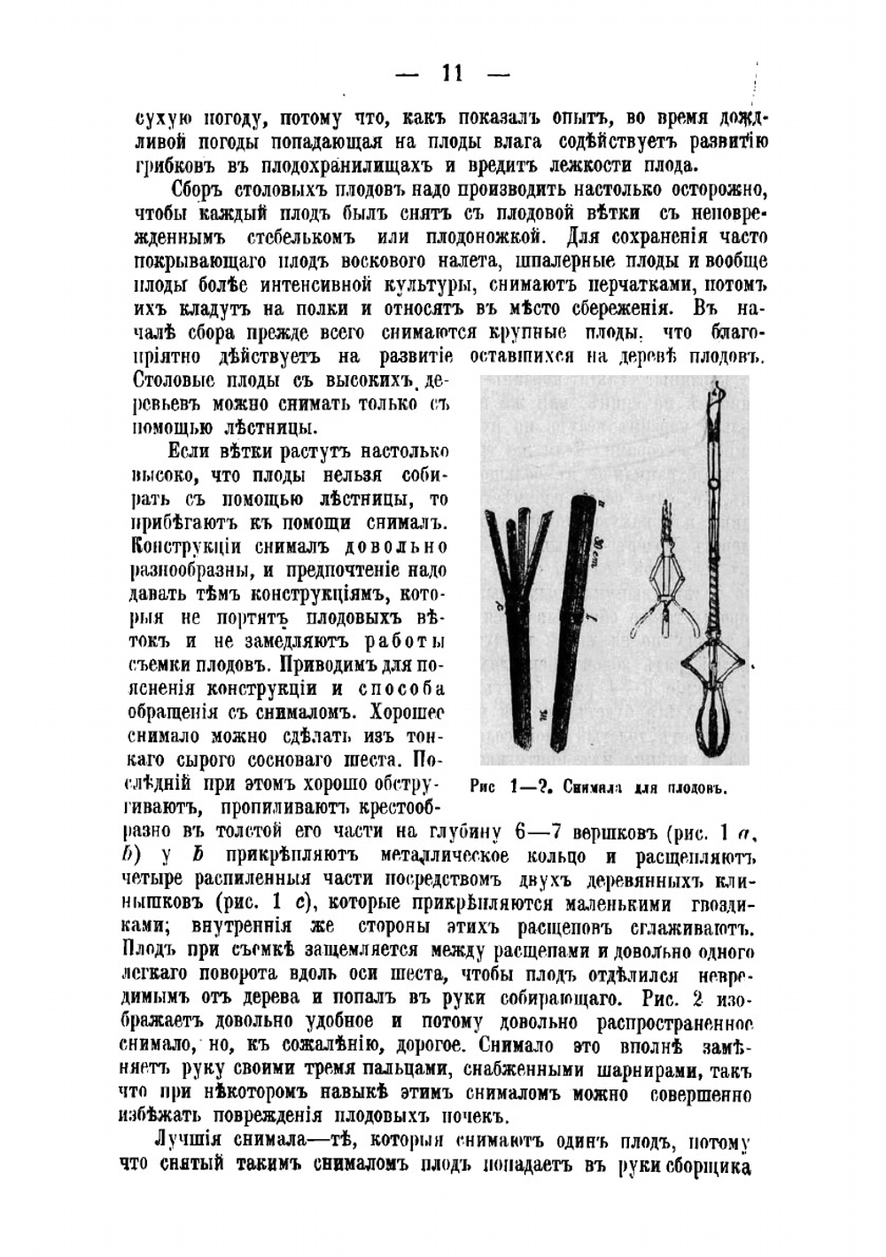 Устройство помещений для зимняго хранения плодов, винограда и овощей | Кичунов Николай Иванович