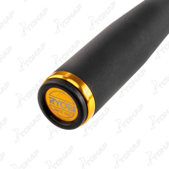 Удилище спиннинговое IXORNE SEABASS S1103M 10 - 40g RYOBI