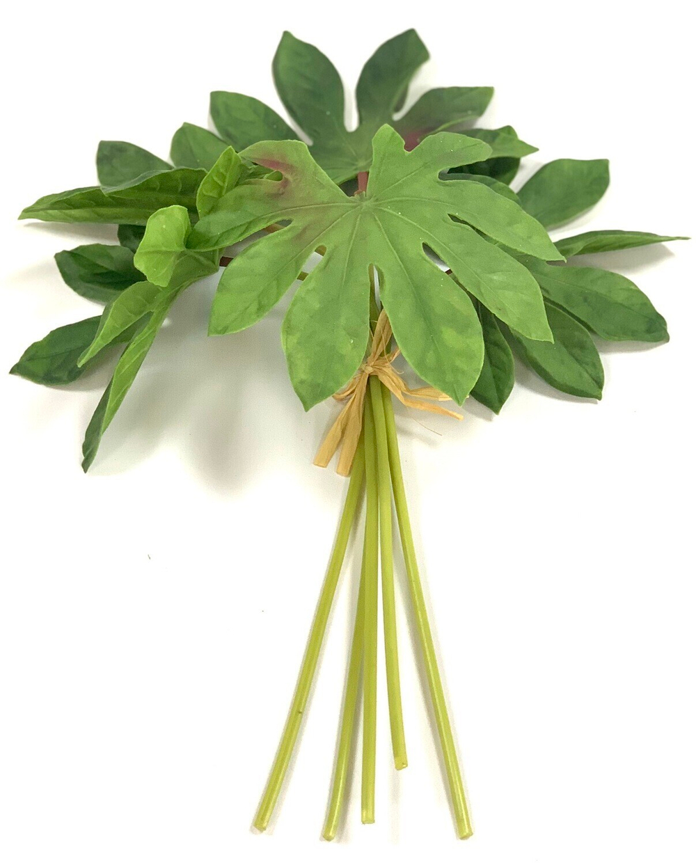 Аралия листья 5 шт