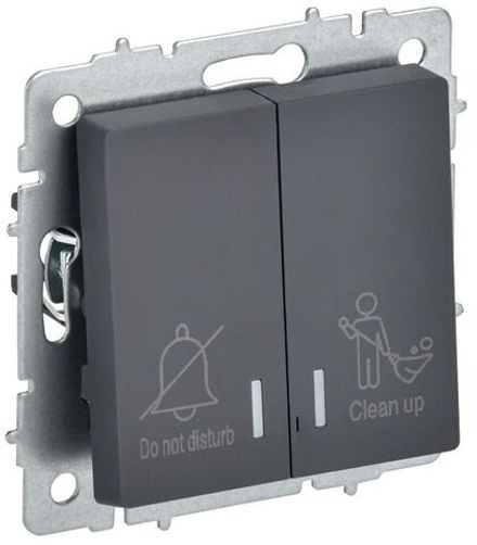 Выключатель 2-кл. BRITE 10А ВС10-2-9-БрГ для отелей с индик. механизм графит IEK BR-V20-2-10-K53