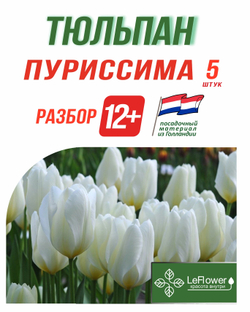 Тюльпан Луковица, Пуриссима 5 шт, разбор 12+