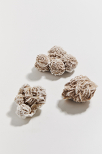 Роза пустыни