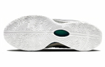 Кроссовки Nike Lebron 21 "Conchiolin" Ep