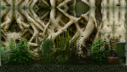 Biotope (для ПК, цифровой код доступа)