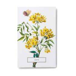In Full Bloom: 100 Postcards