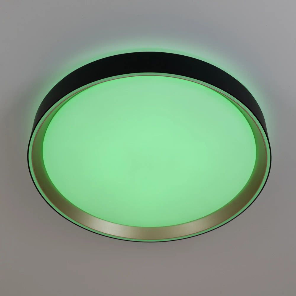 Citilux BOSS CL751351G LED RGB Светильник с пультом Чёрный с Золотом