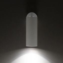 Спот Citilux Тубус CL01B120N