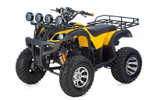 Квадроцикл RAPTOR Max Pro 250 (жёлтый/чёрный) (2024)