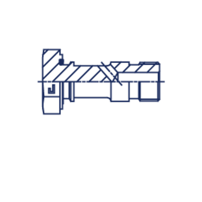 Болт BANJO BSP 1.1/4
