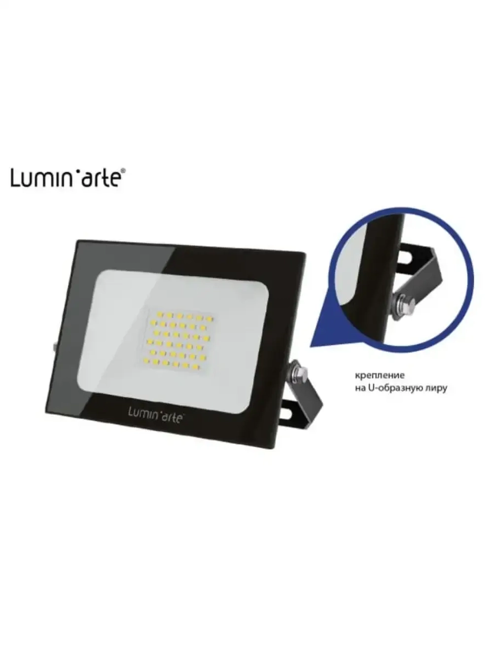Прожектор светодиодный Lumin arte LFL-100W/05