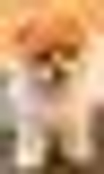 Платье Love is