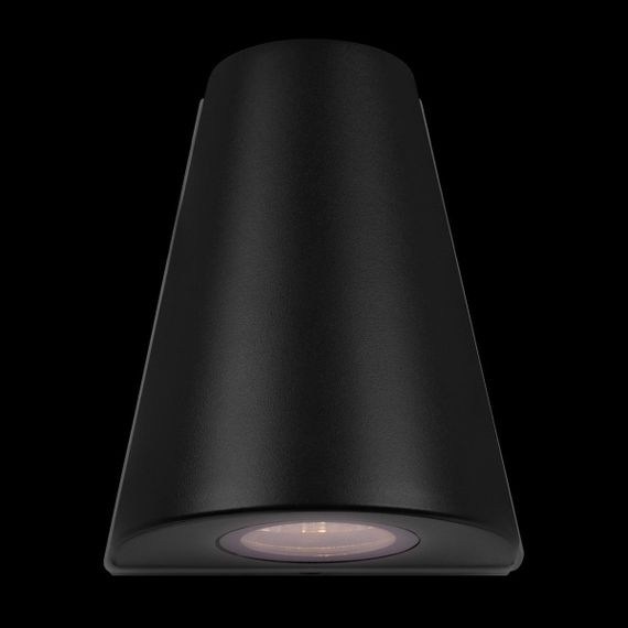 Уличный настенный светильник Loft IT Eterno 100004/2