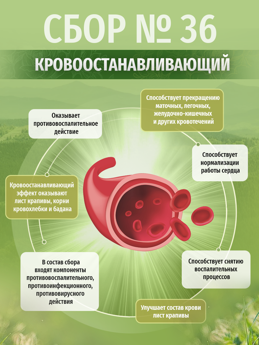 Сбор № 36 Кровоостанавливающий
