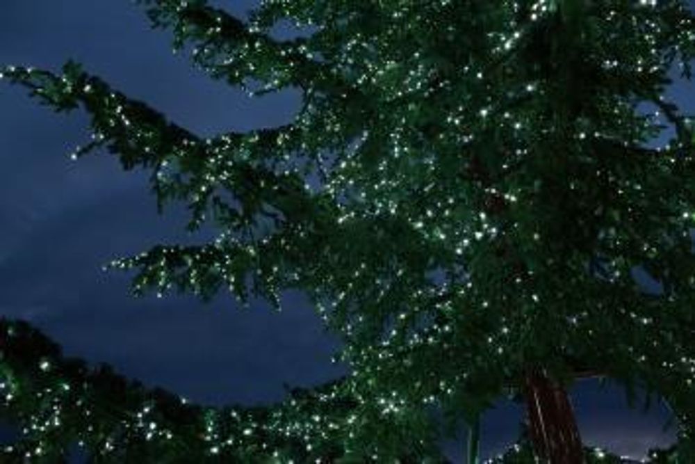 Уличная ствольная елка со скамейкой "Лесная" (Литая хвоя) от 6 м до 18 м