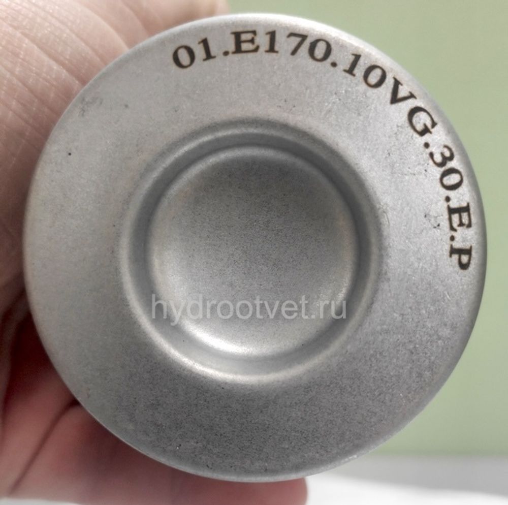 01.E170.10VG.30.E.P - Фильтроэлемент для напорного фильтра
