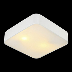Накладной светильник Arte Lamp A7210PL-2WH