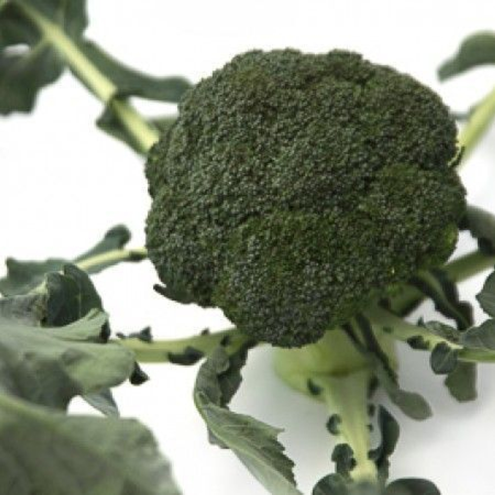 Орантес F1 семена капусты брокколи (Rijk Zwaan / Райк Цваан)