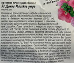 Петуния Донна Майское утро F1 10 шт гибридная СМЦ-146