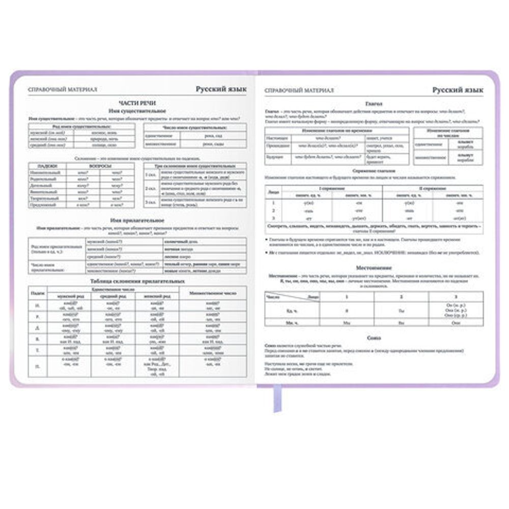 Дневник 1-11 класс 48 л., обложка кожзам (твердая с поролон), 3D-элемент, BRAUBERG, "Суровый кот", 107221