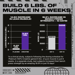 MuscleTech, Platinum, 100% моногидрат креатина, с нейтральным вкусом, 400 г (14,11 унции)