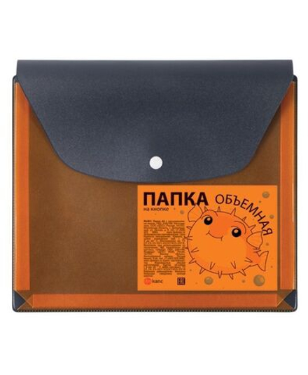 Конверт на кнопке 228*188мм, ПВХ, расширение до 2,5см (250 л),т.синий/пр.оранжевый