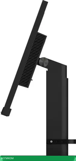 Монитор Lenovo ThinkVision T24m-29 63A5GAT6UK