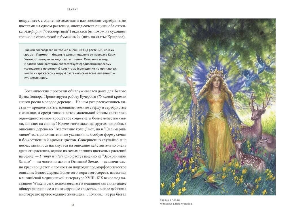 Мифология Толкина. От эльфов и хоббитов до Нуменора и Ока Саурона