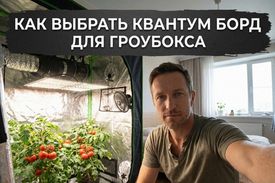 Квантум борд для растений: мощность для гроубоксов 60x60, 80x80 и 100x100