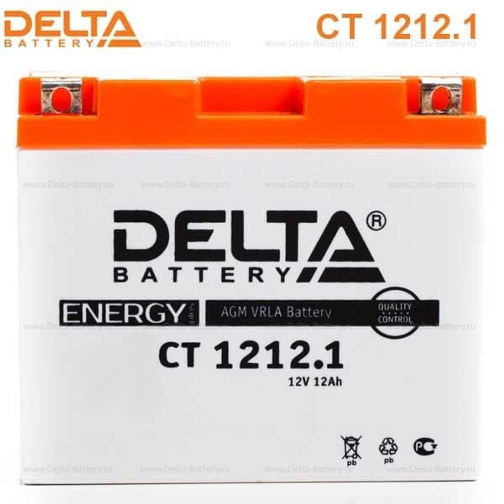 Аккумуляторная батарея Delta CT 1212.1 (12V / 12Ah) [YT12B-BS]