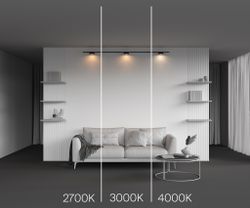 Трековый магнитный светодиодный светильник Maytoni Levity Zon TR189-1-12W2.7K-B