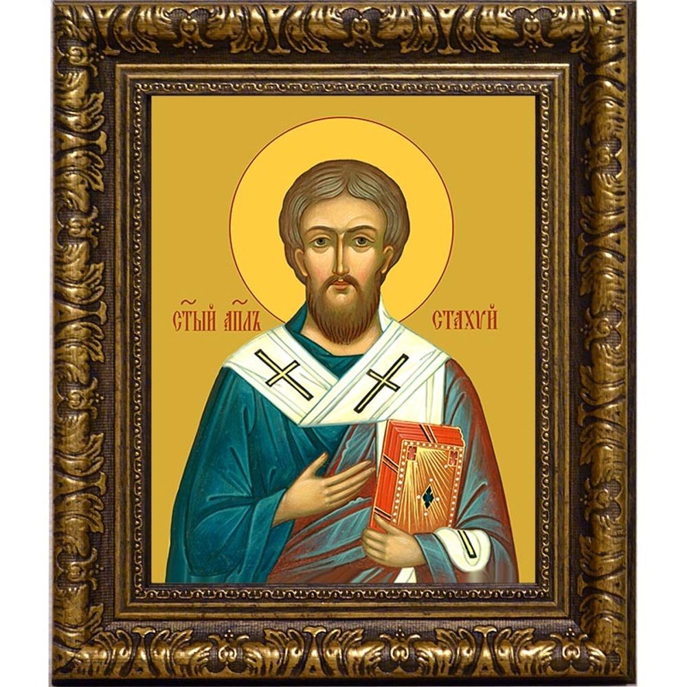 Стахий Святой апостол, епископ Византийский. Икона на холсте.