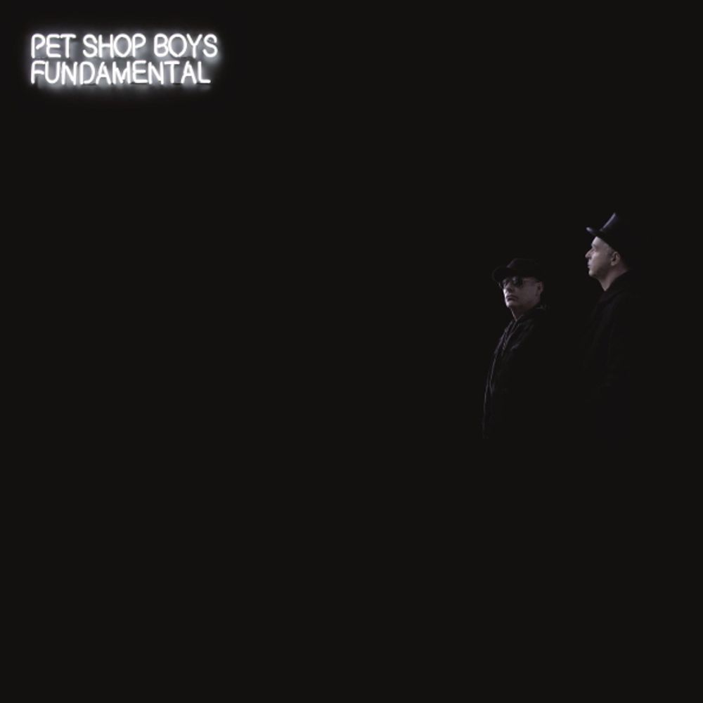 Pet Shop Boys / Fundamental (LP)