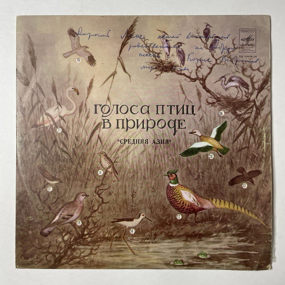 Винтажная виниловая пластинка LP Голоса Птиц В Природе, Средняя Азия: Bird's Voices in Nature, Central Asia (СССР 1977)