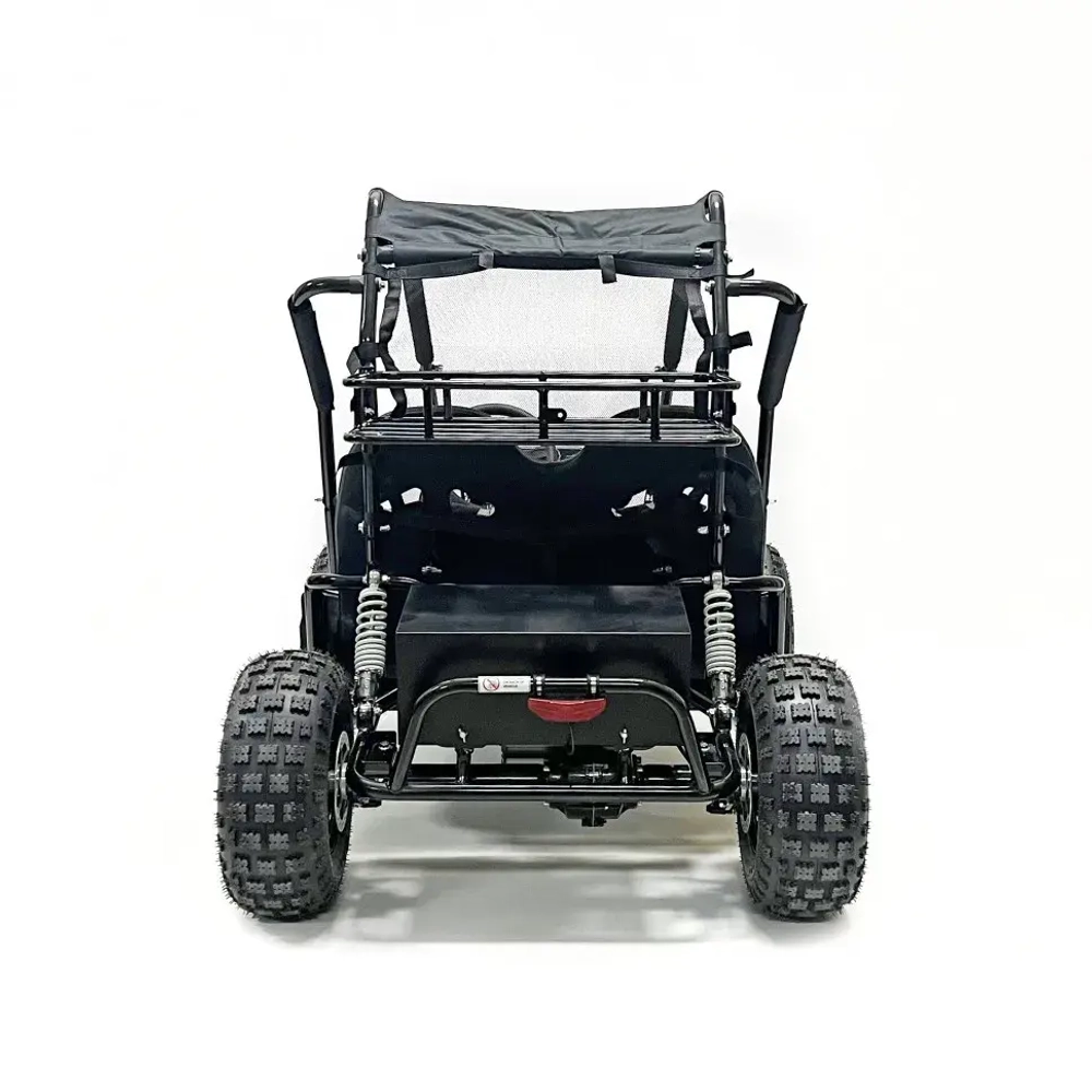 Багги Green Camel Намиб T10 (60V 2000W R8 Дифф)