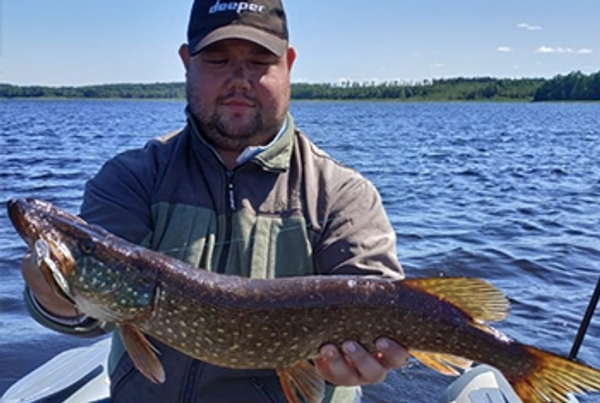 Ловля щуки в октябре. Какие есть особенности осенней ловли хищной рыбы Ловля щуки в октябре. Какие есть особенности осенней ловли хищной рыбы