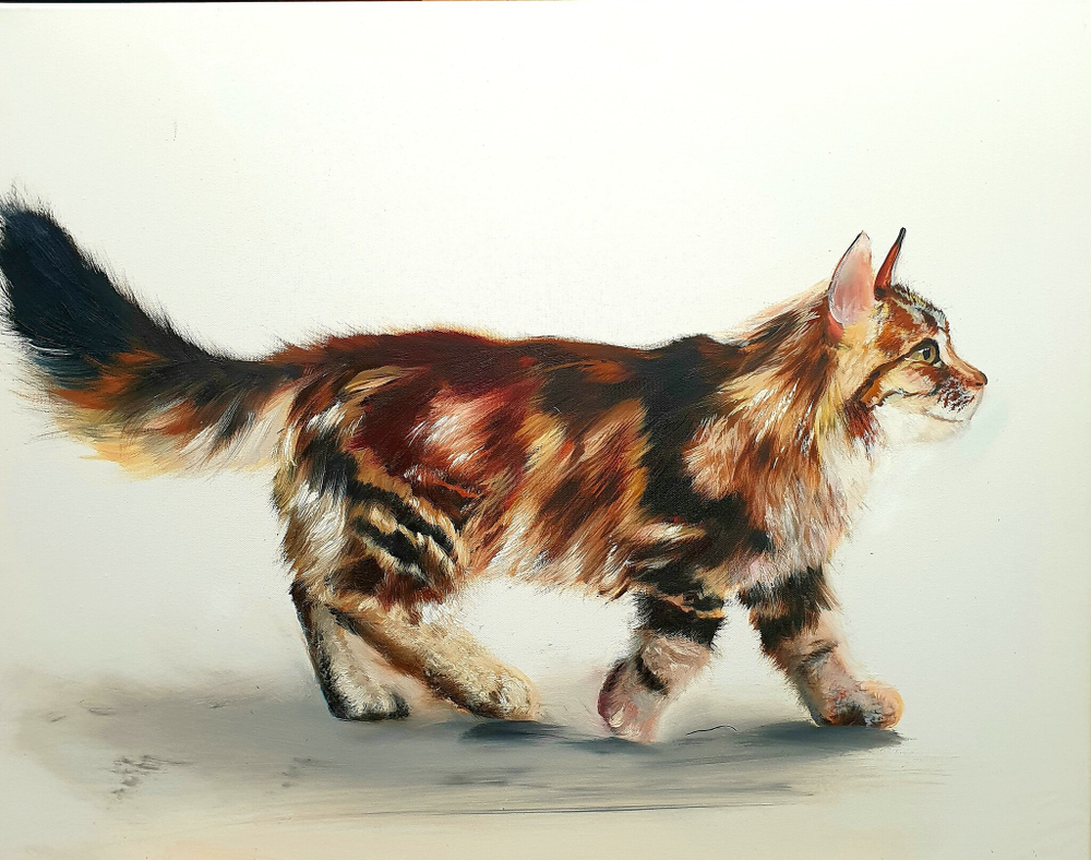 Кошечка