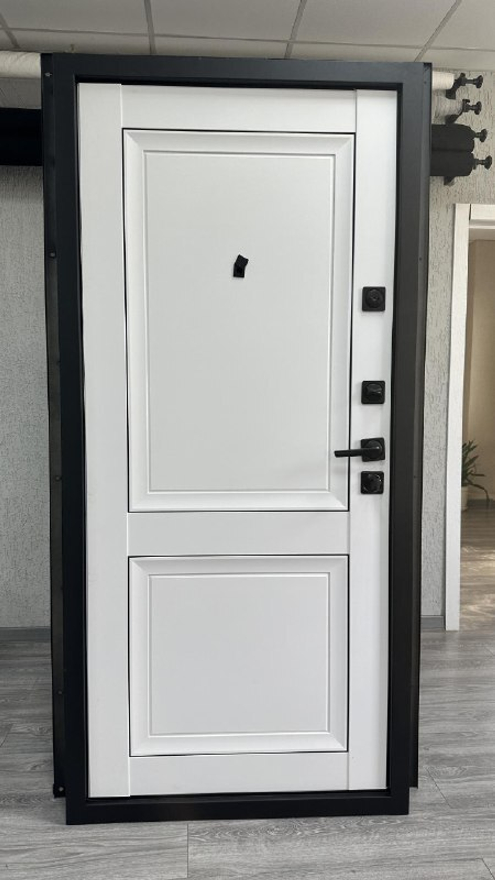 Дверь входная Альфа деканто 2