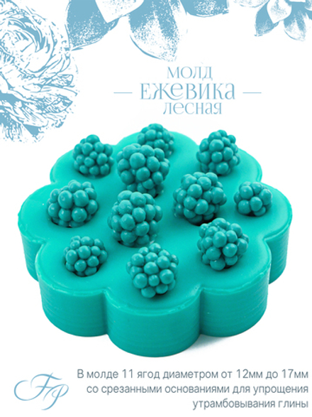 Молд Ежевика лесная