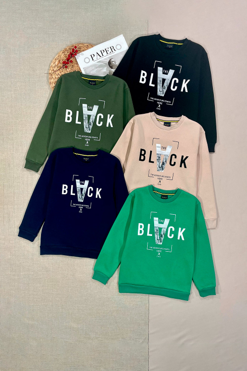 Свитшот для мальчиков 3Н/начес