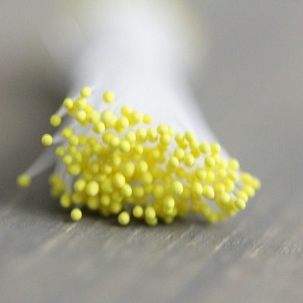 Тычинки мелкие (С желтым кончиком)