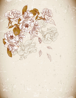 Коллекция Цветы