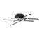 Потолочный светильник FR6036CL-L40B Хлоя / Chloe 35 Вт LED Freya fr6036cl-l40b