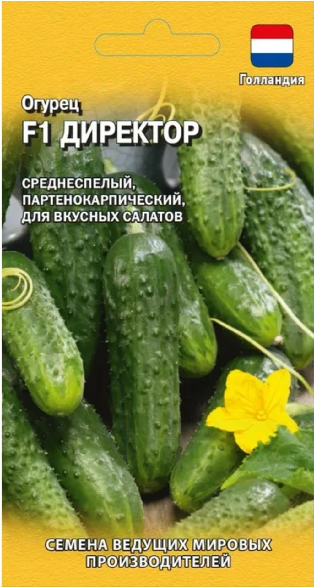 Огурец Директор (Гавриш) F1