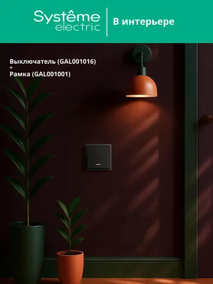Выключатель кнопочный 1-кл. ArtGallery 10А с подсветкой механизм карбон SE GAL001016