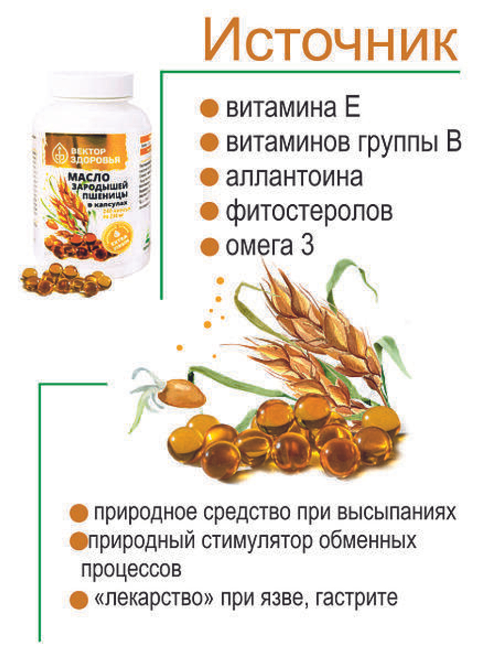 Масло зародышей пшеницы 240 капсул