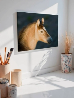 Картина на стену 40 X 50 Конь